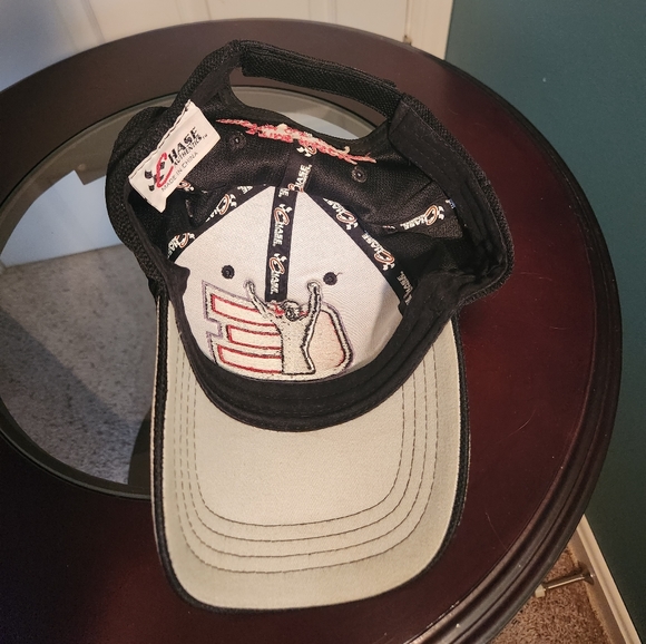 Vintage Dale Earnhardt Cap - Picture 3 of 3
